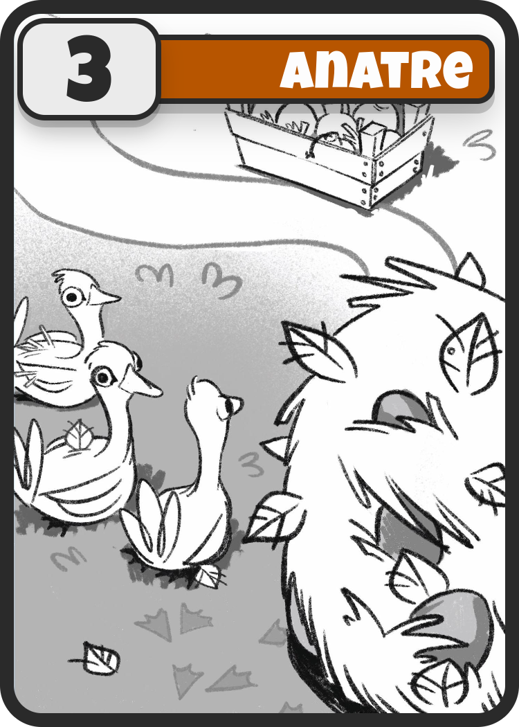 Carta Anatra 3